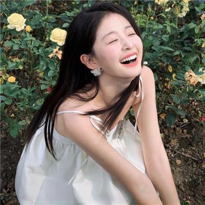 企鹅之岛:福克兰